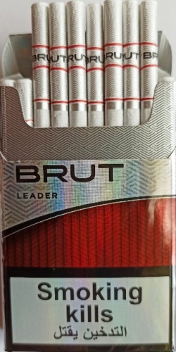 Цигарки "BRUT leader nano RED" (Брут нано лідер червоний) Ціна за блок (10 пачок)